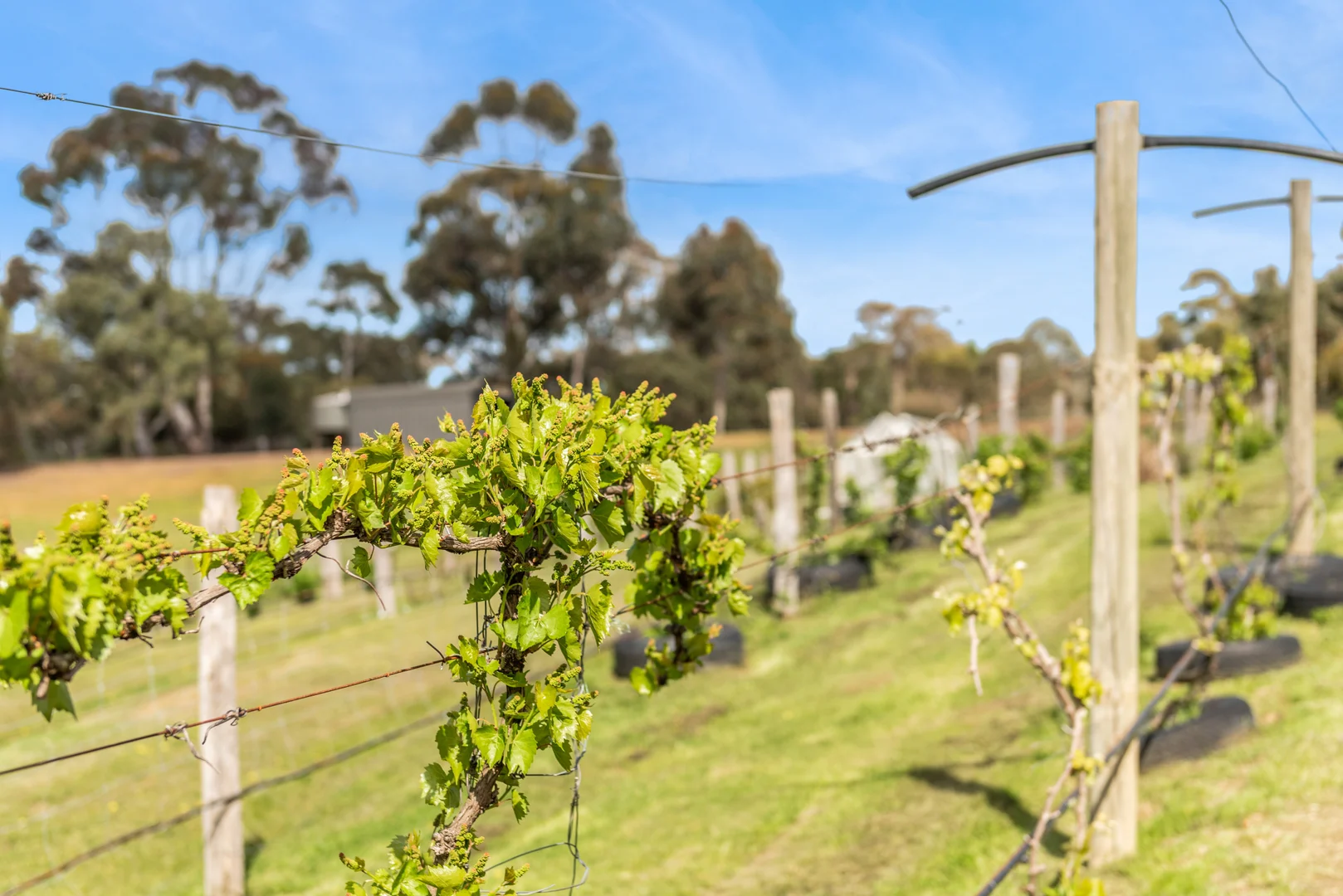 Additional image 6 of 109 Meadows Lane, Heathcote VIC 3523