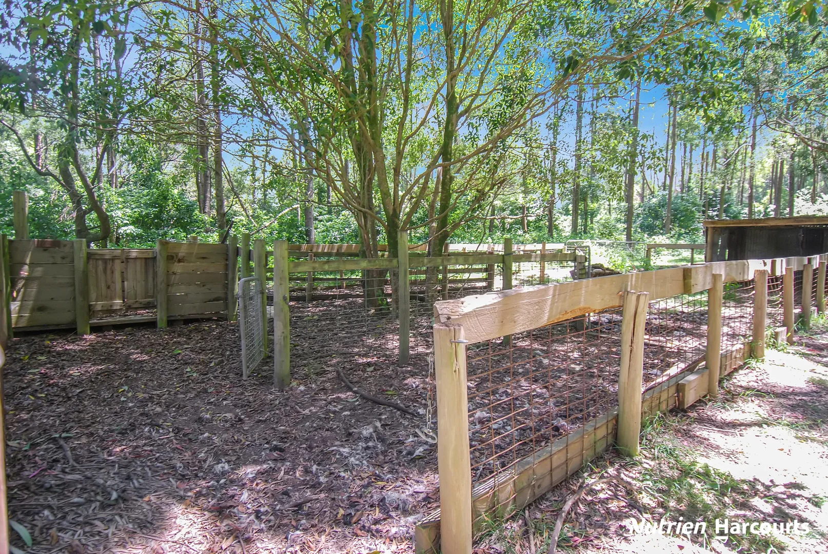 Additional image 35 of 1704 Tarra Valley Road, Tarra Valley VIC 3971