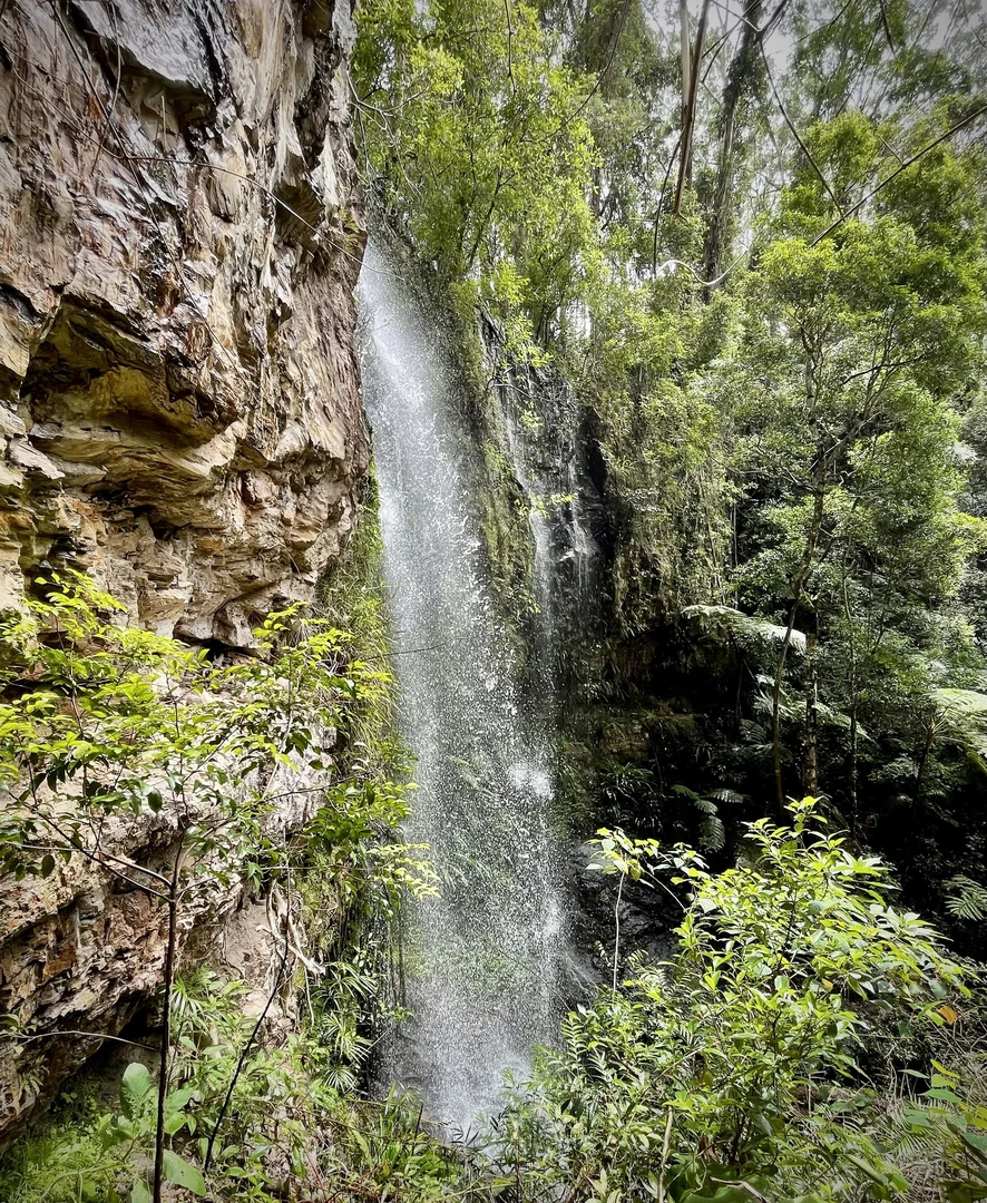 Additional image 36 of 76 Maso Road, Repentance Creek NSW 2480