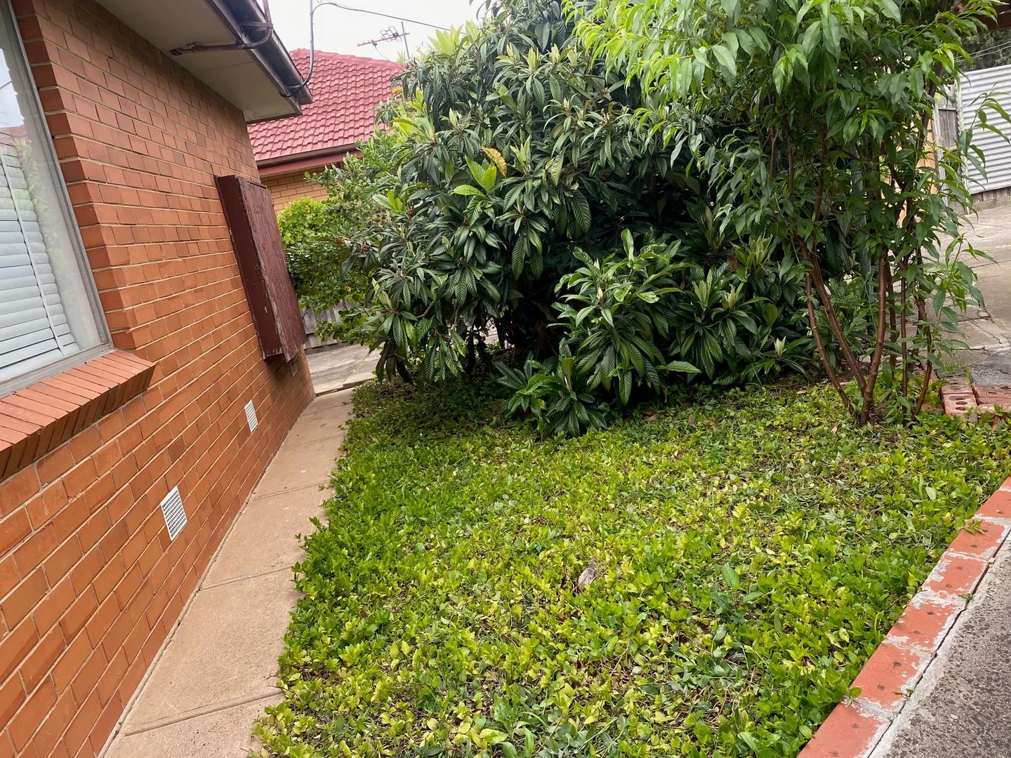 Additional image 39 of 36 Jamieson Street, St Albans VIC 3021