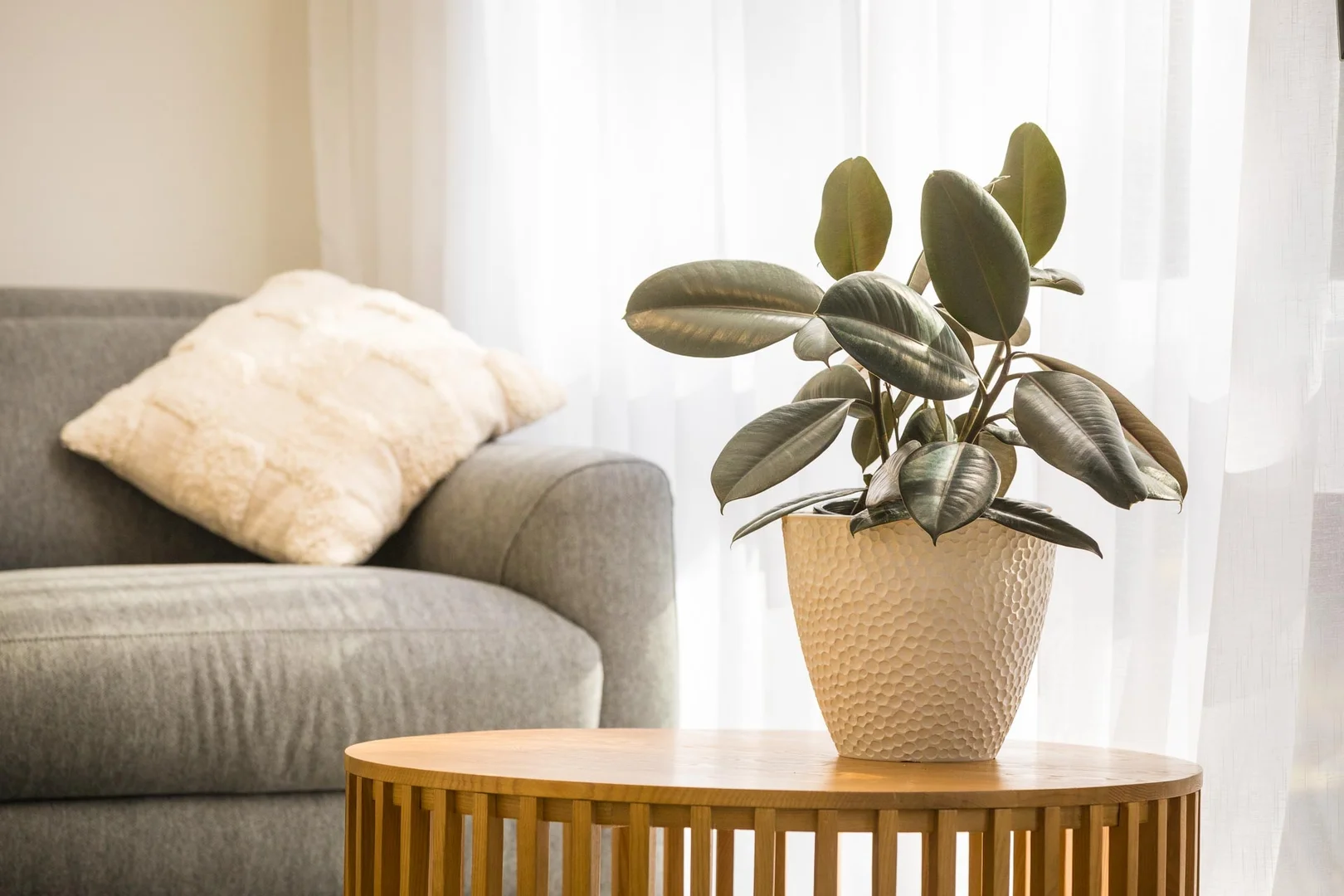 Additional image 16 of 71 Surf Circle, Tura Beach NSW 2548