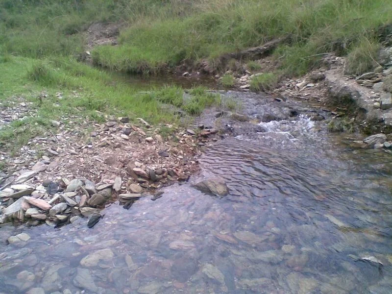 Additional image 6 of 8282 Armidale Road, Lower Creek NSW 2440