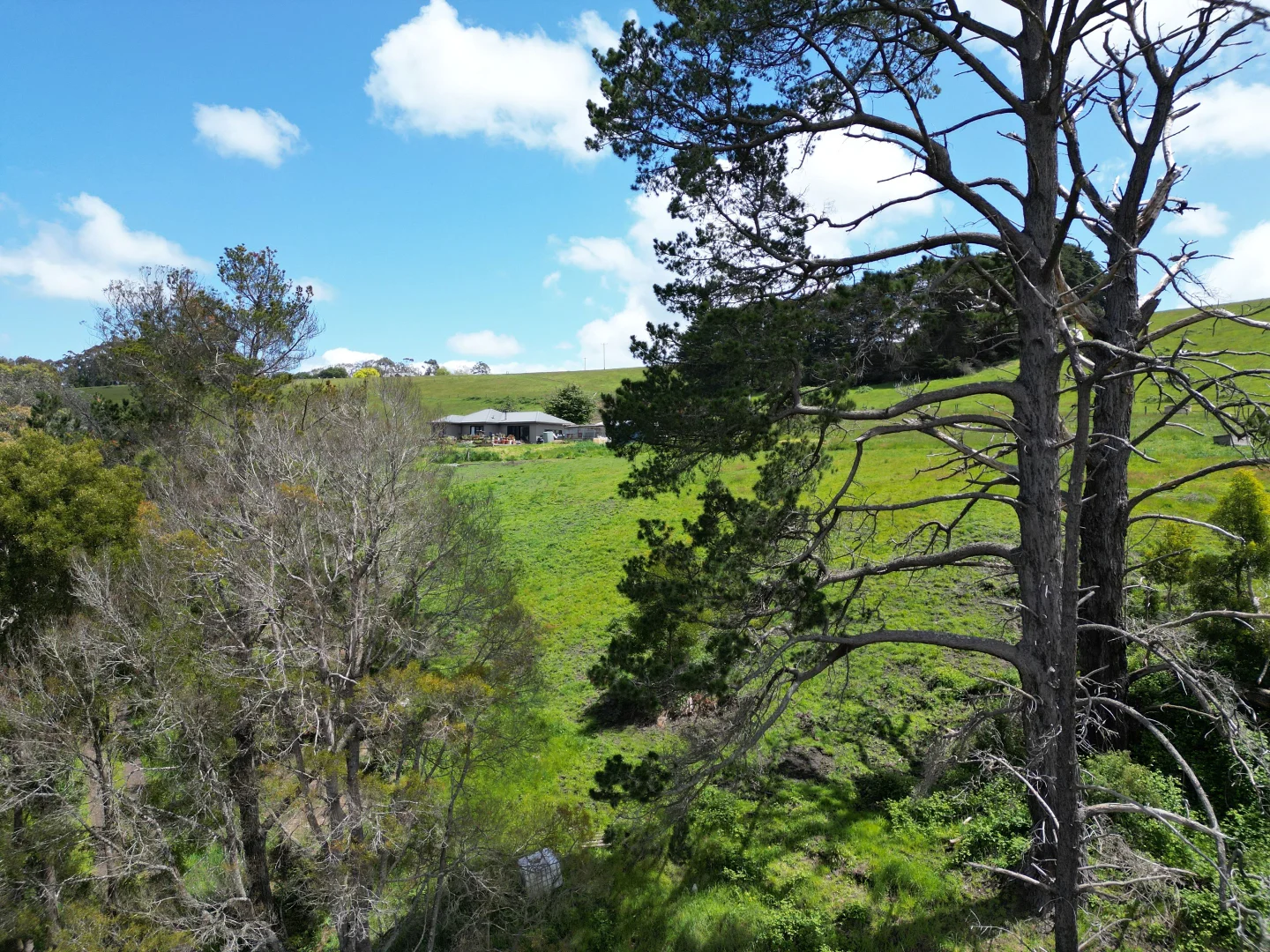 Additional image 2 of 4157 Lavers Hill Cobden Road, Chapple Vale VIC 3239