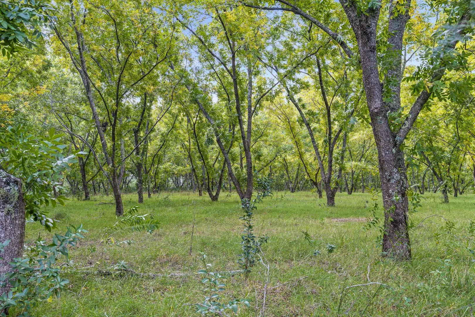 Additional image 12 of 863 Upper Macdonald Road, Upper Macdonald NSW 2775