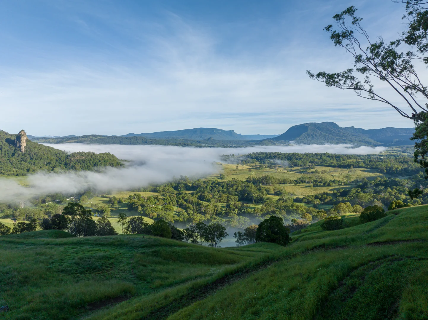 Additional image 12 of 2298 Nimbin Road, Nimbin NSW 2480