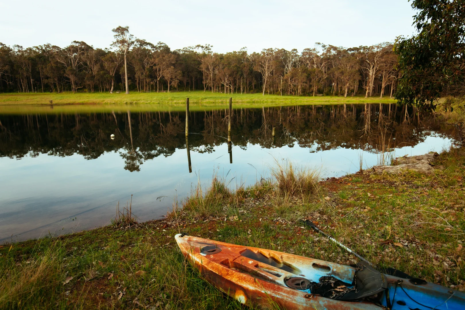 Additional image 12 of 227 Fifty One Road, Cowaramup WA 6284
