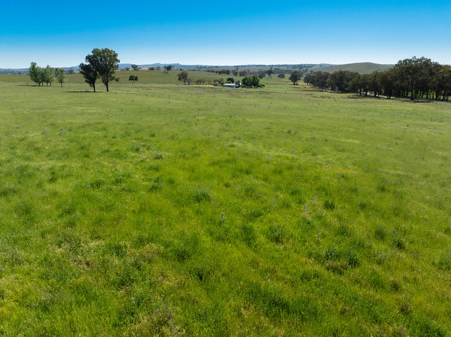Additional image 25 of 338 Baldry Road, Cumnock via, Molong NSW 2866