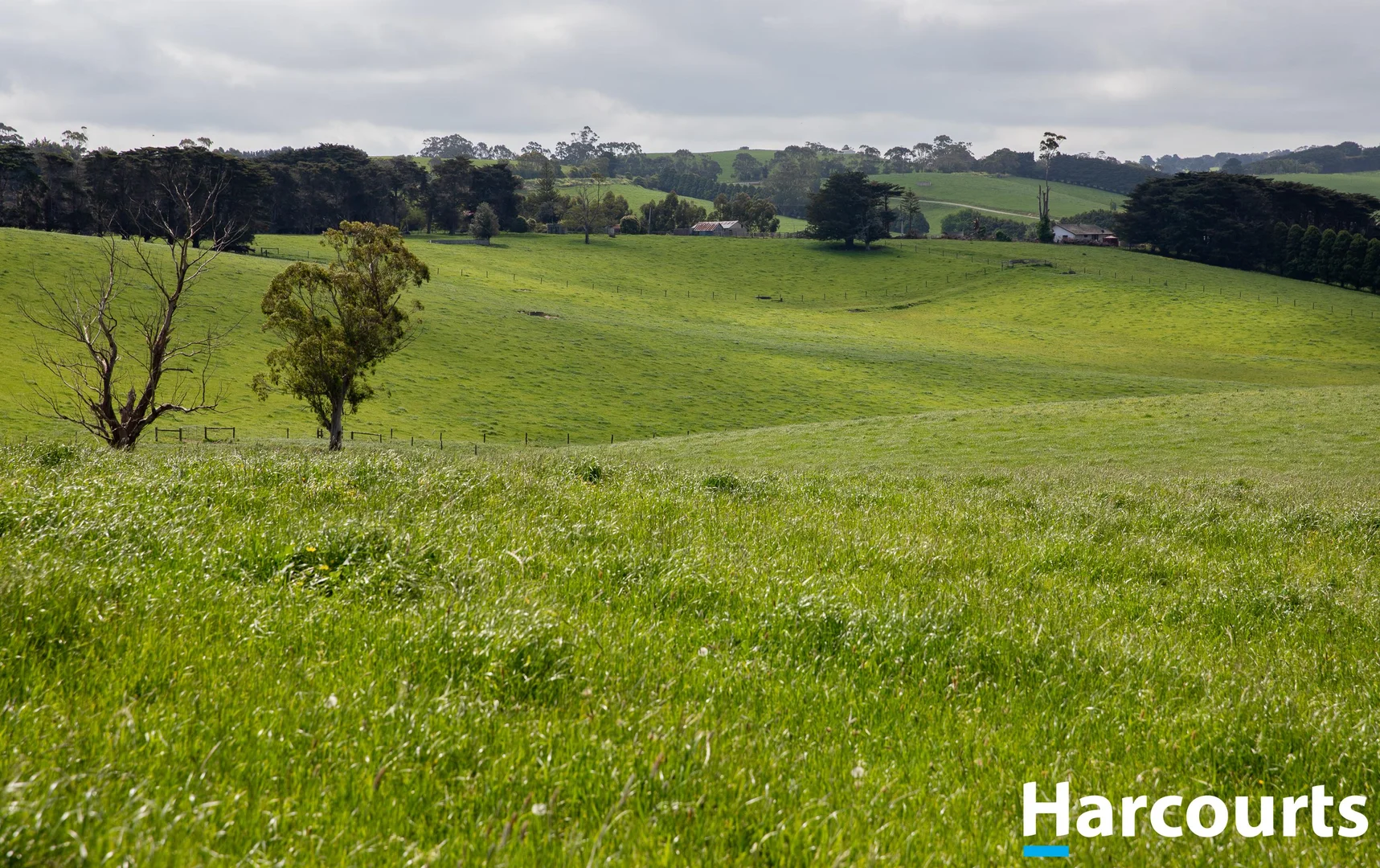 Additional image 17 of 715 Falls Road, Fish Creek VIC 3959