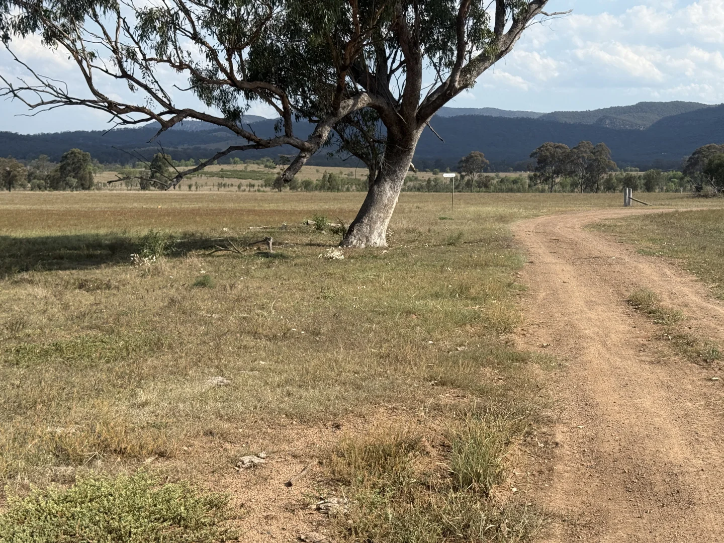 Additional image 49 of 207 Redmanvale Road, Jerrys Plains NSW 2330