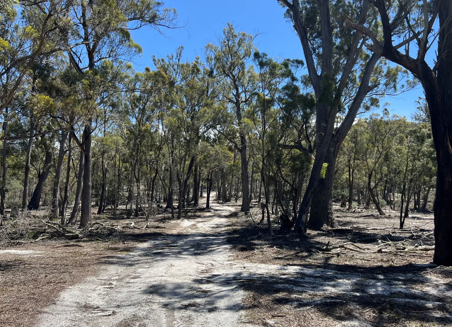 Additional image 23 of 3 Leona Road, Avoca TAS 7213