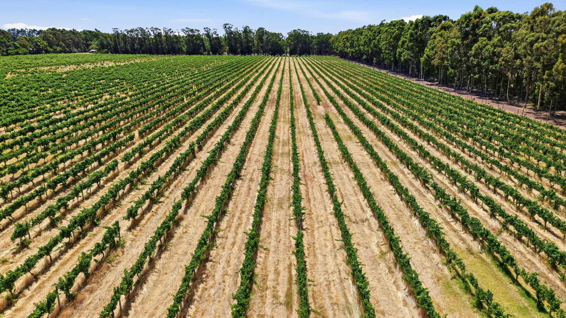 Additional image 4 of 26/3599 Caves Road, Wilyabrup WA 6280