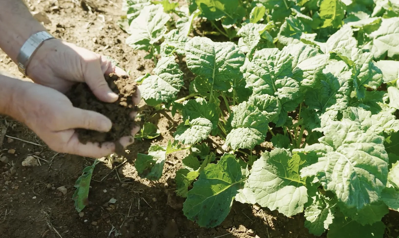 Additional image 5 of 4844 Braidwood Road, Tirrannaville NSW 2580