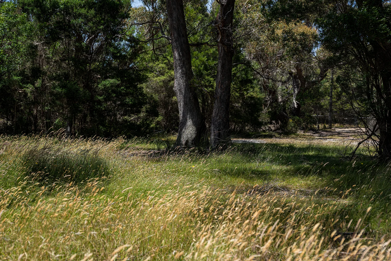 Additional image 21 of 189 Summer Camp Road, Memana TAS 7255