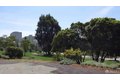 Additional image 46 of 1250 Ellis St Apt 2, San Francisco, CA, 94109