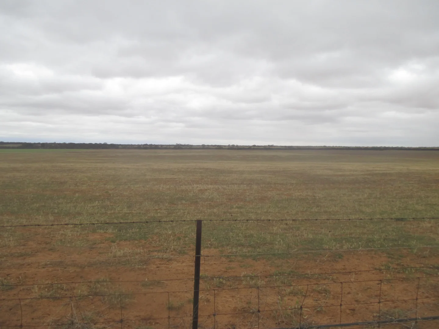 Additional image 15 of Lot 1 Stones Track & Lot 17 Kulkami Road, Karoonda SA 5307