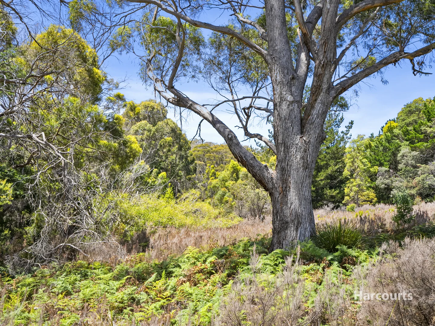 Additional image 6 of 5843 Arthur Highway, Taranna TAS 7180