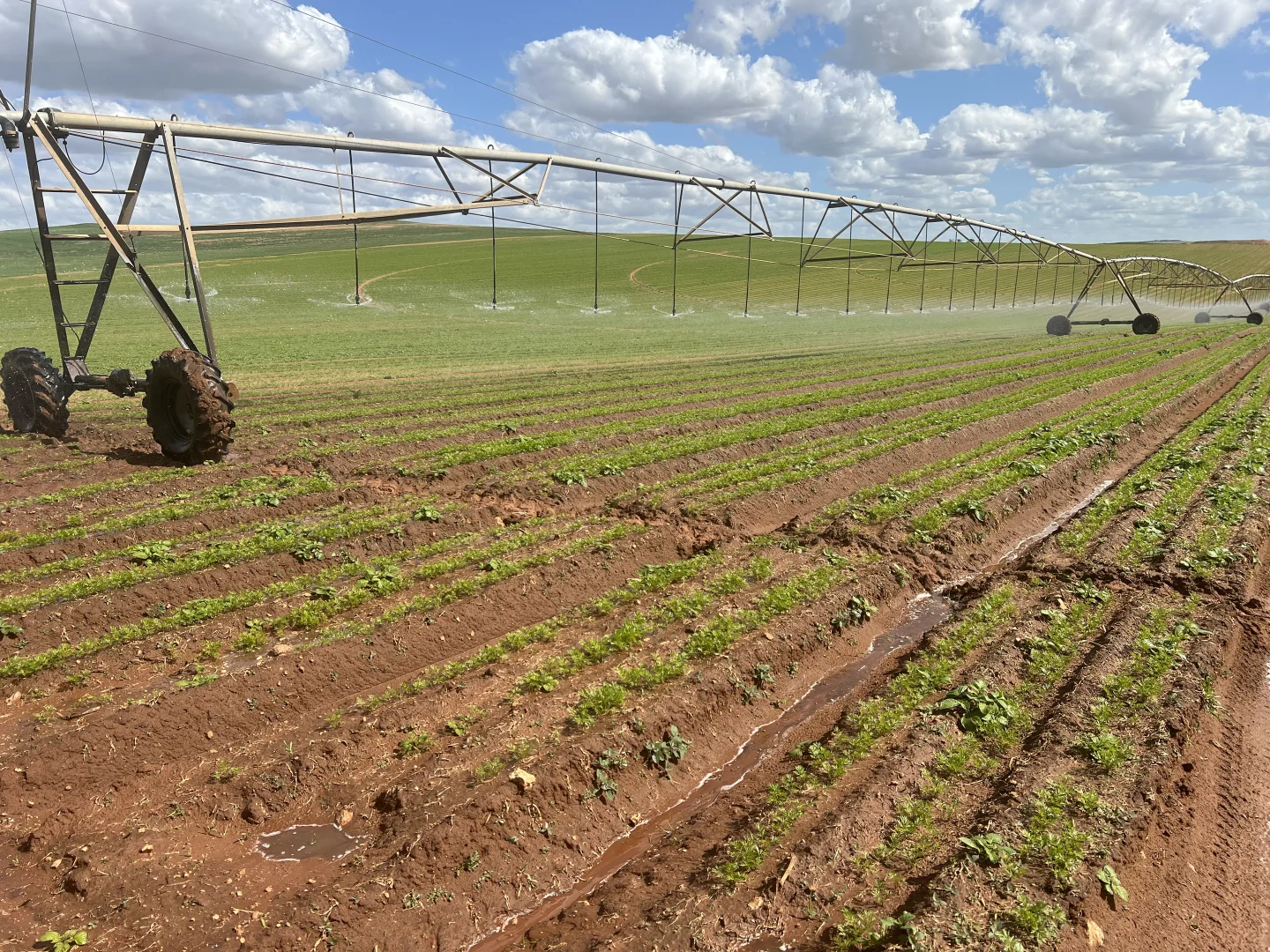 Additional image 3 of 66 Morrell Road, Bowhill SA 5238