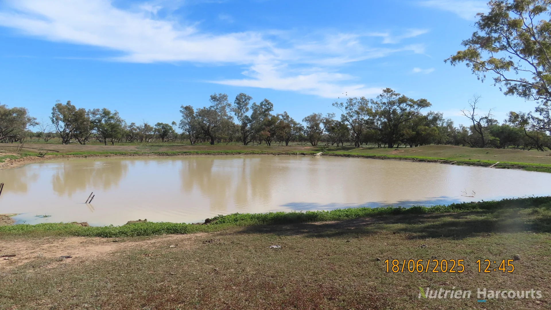 Additional image 12 of * Springvale, Walgett NSW 2832