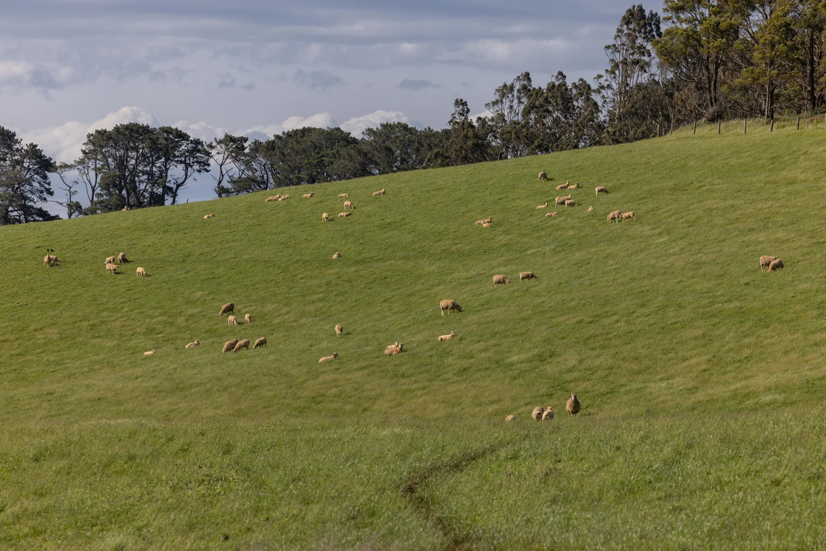 Additional image 8 of 520 Foster Road, Boolarra South VIC 3870