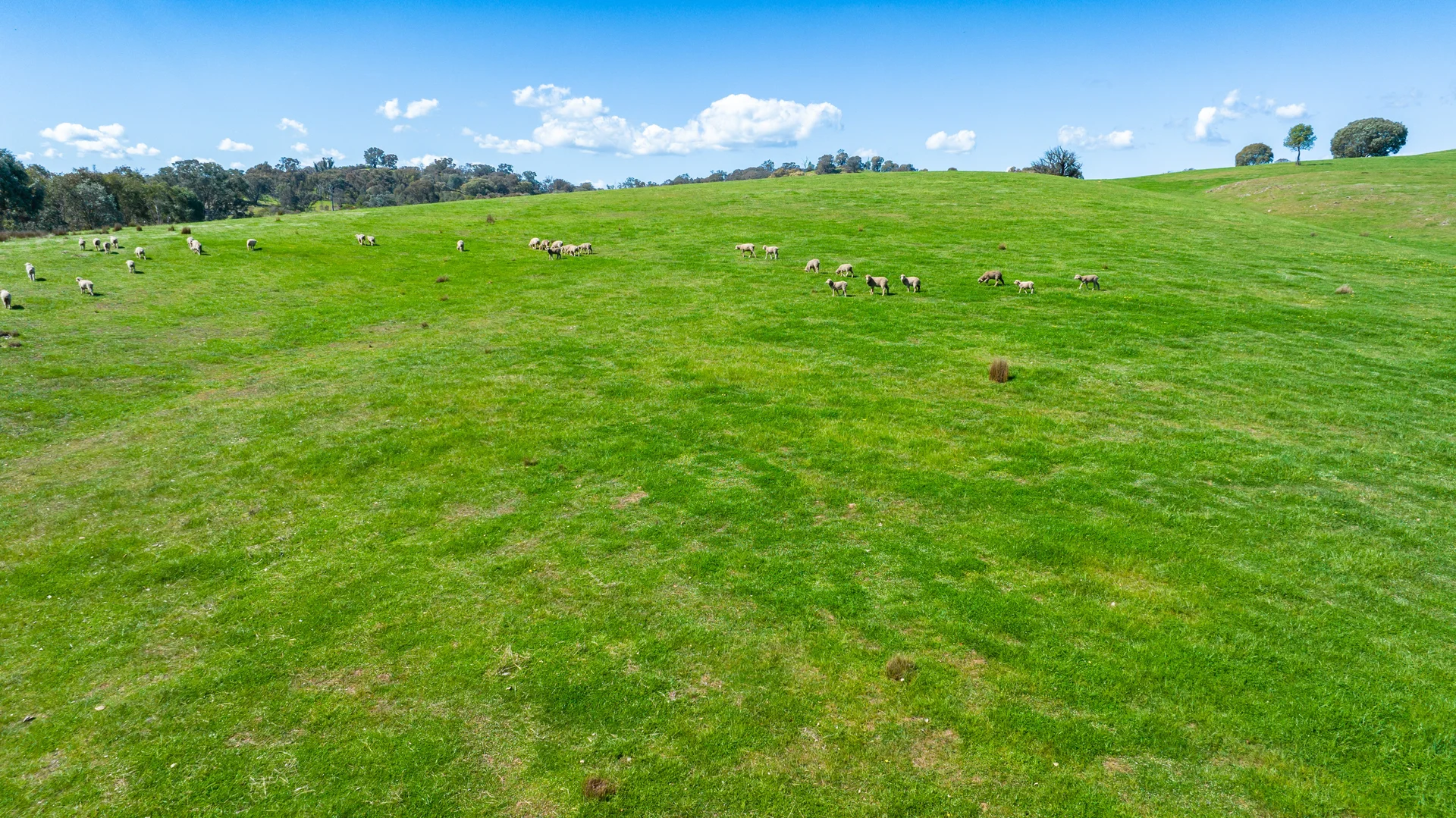 Additional image 7 of 13759 Hume Highway, Mullengandra NSW 2644