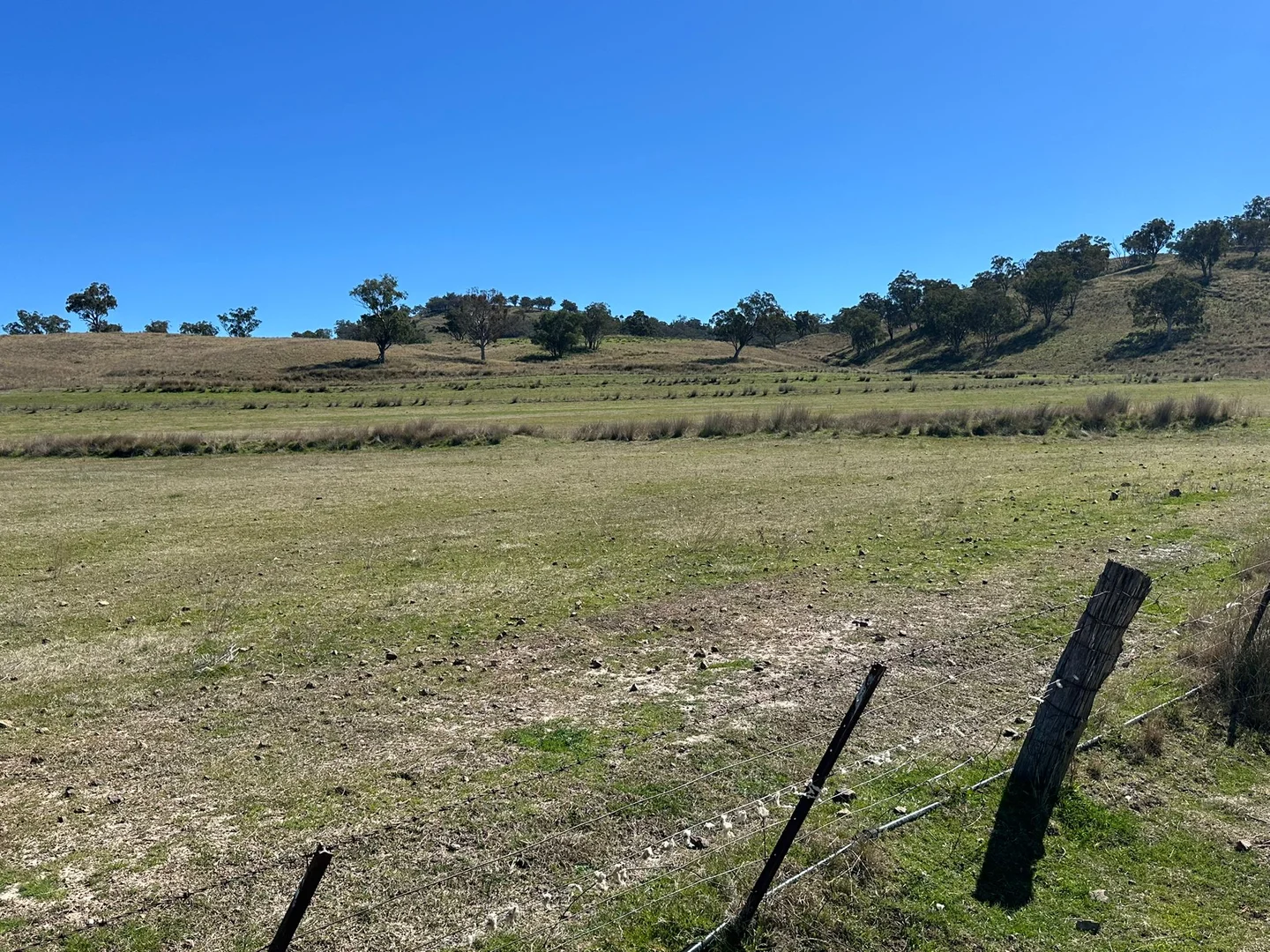 Additional image 36 of 2991 Halls Creek Road, Halls Creek NSW 2346