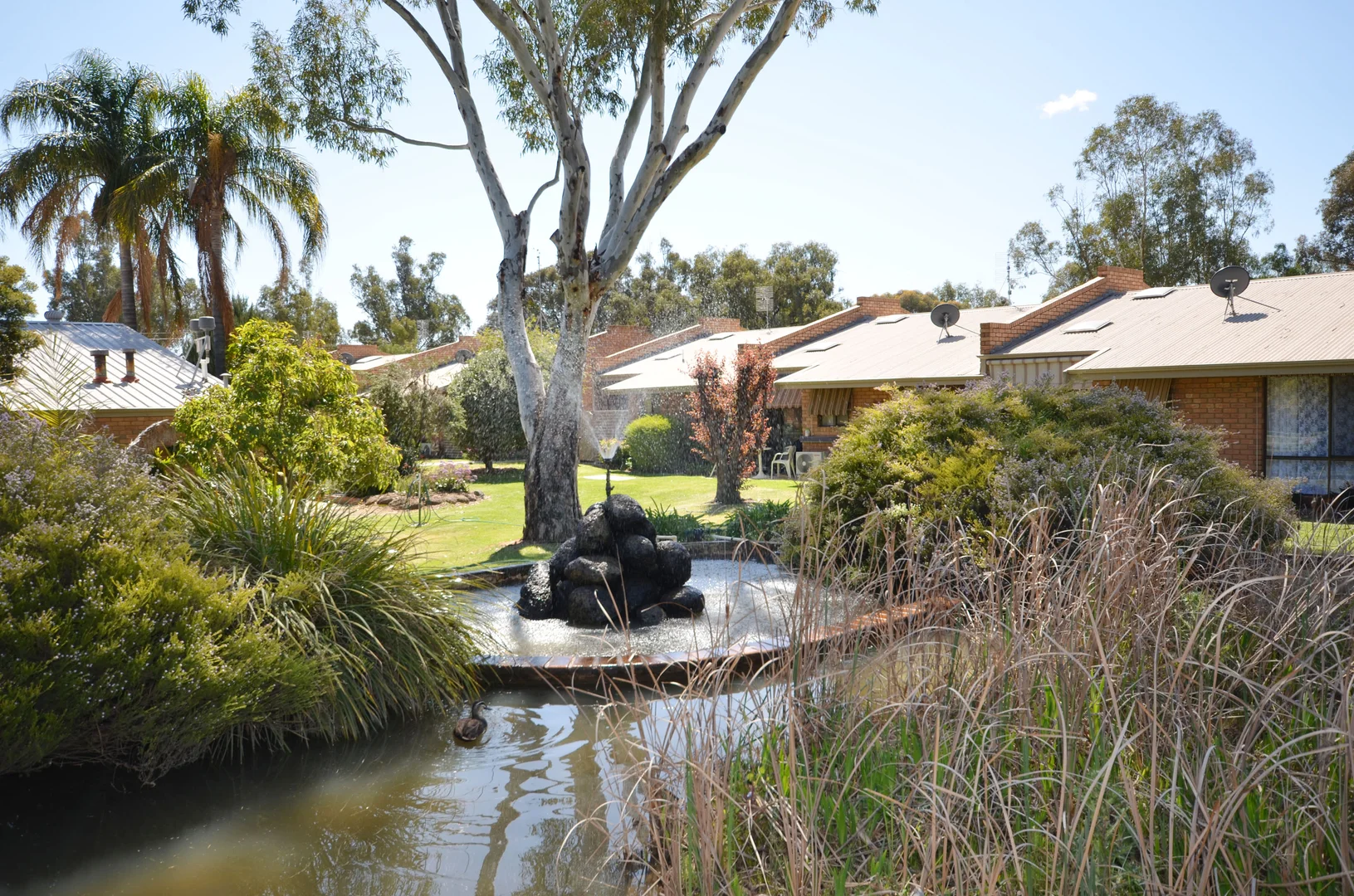 Additional image 15 of 49/61 Regent Street, Moama NSW 2731