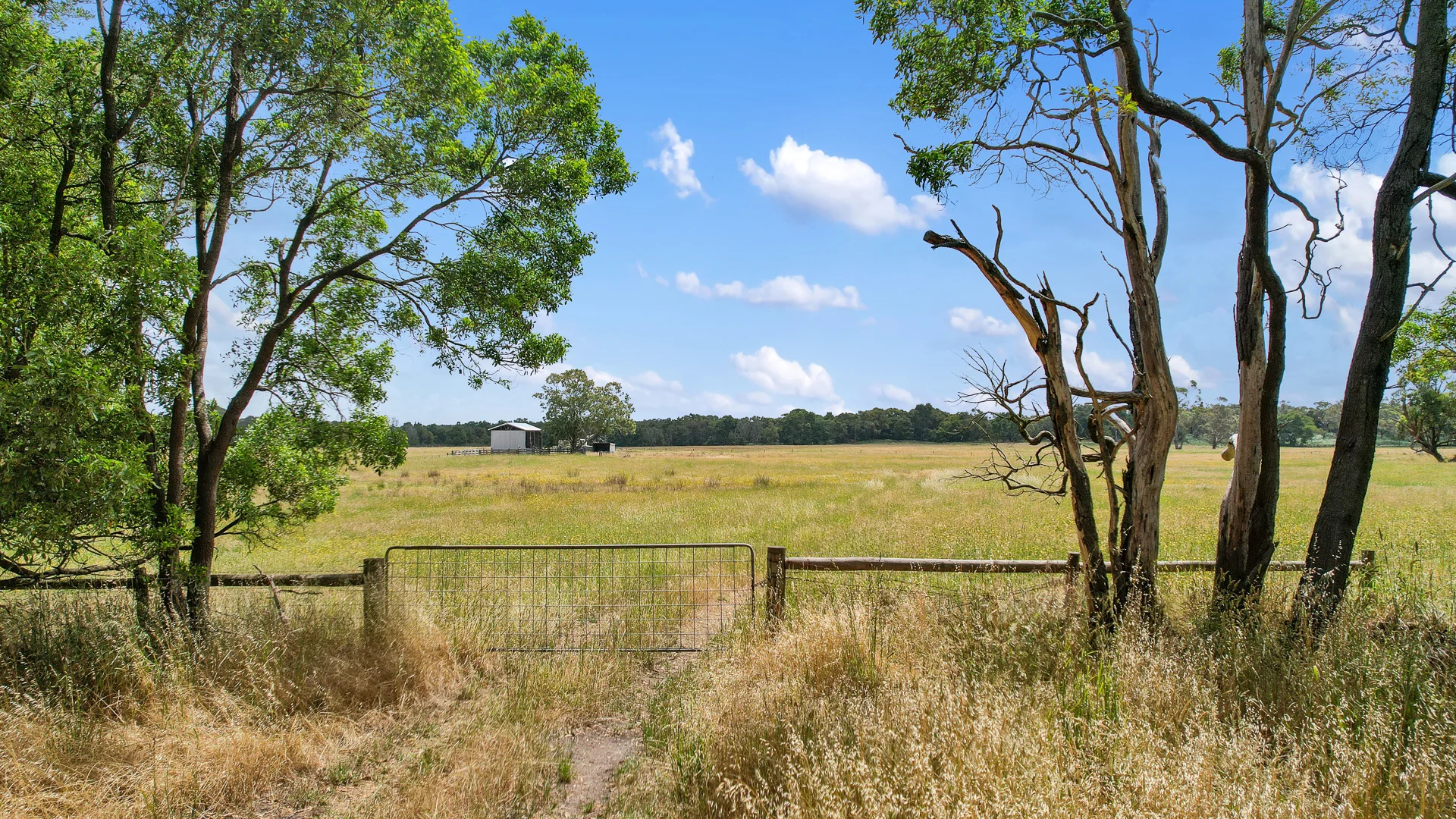 Additional image 6 of Lot 459 Riddoch Hwy, Dismal Swamp SA 5291