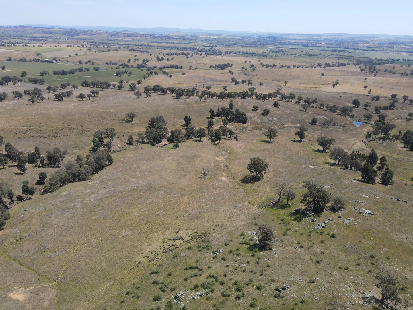 Additional image 8 of 250 Emu Creek Road, Canowindra NSW 2804