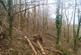 Additional image 5 of Drefelin, Drefach Felindre SA44