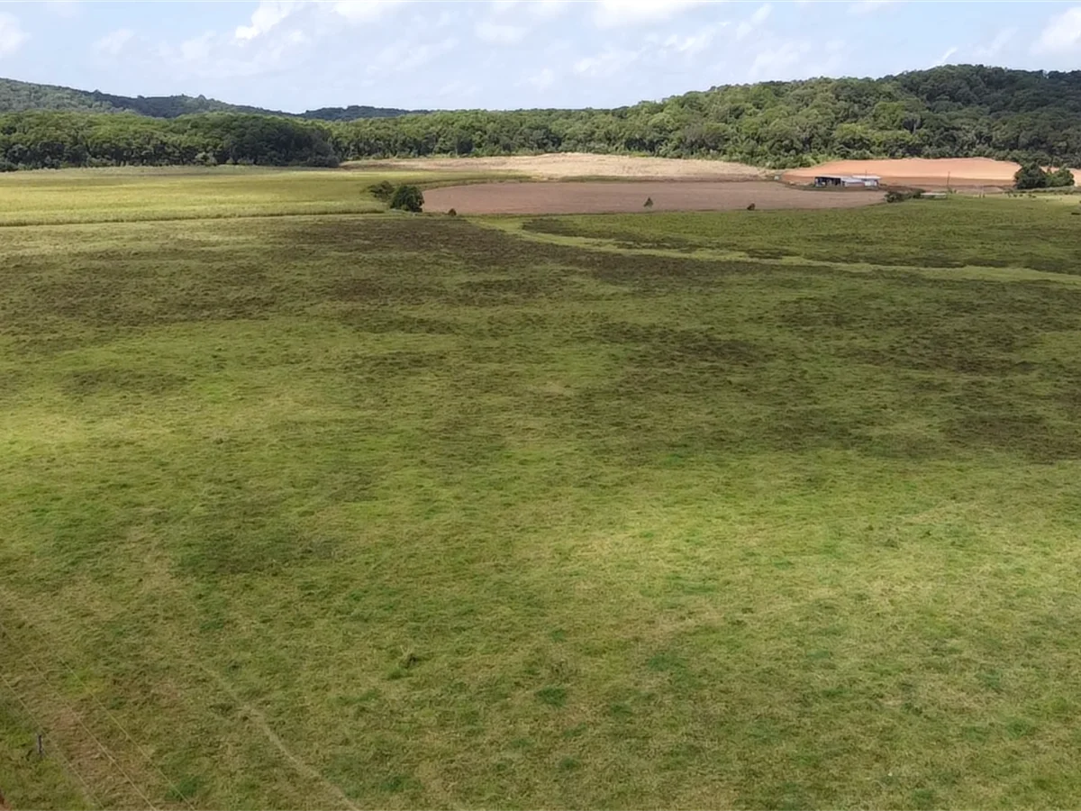 Additional image 14 of 000 Gangemi Road, Cowley QLD 4871