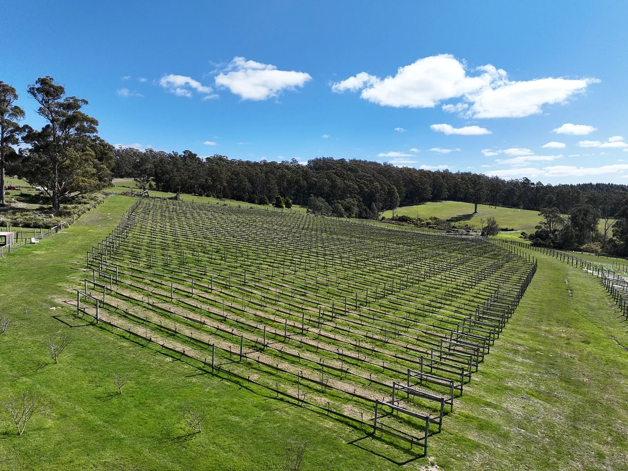 Additional image 24 of 150 Hjorts Road, Loira TAS 7275