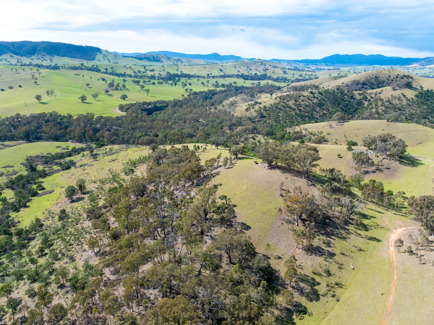 Additional image 8 of 1139 Ensay-Doctors Flat Road, Ensay VIC 3895