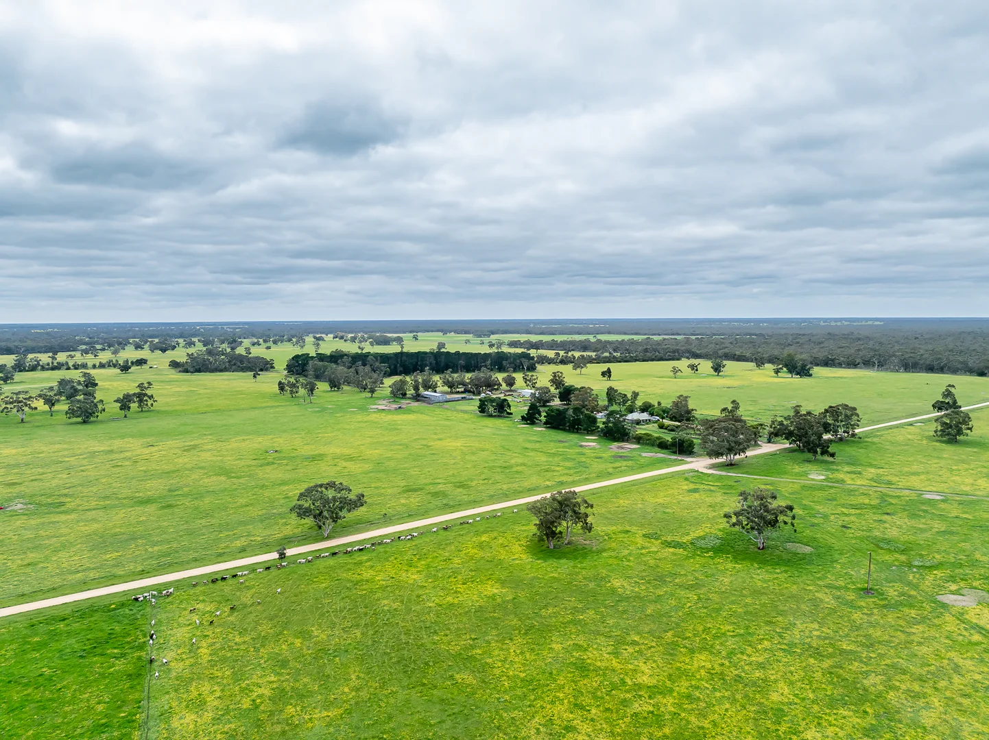 Additional image 2 of 520 Walkington Hills Road, Bangham SA 5268