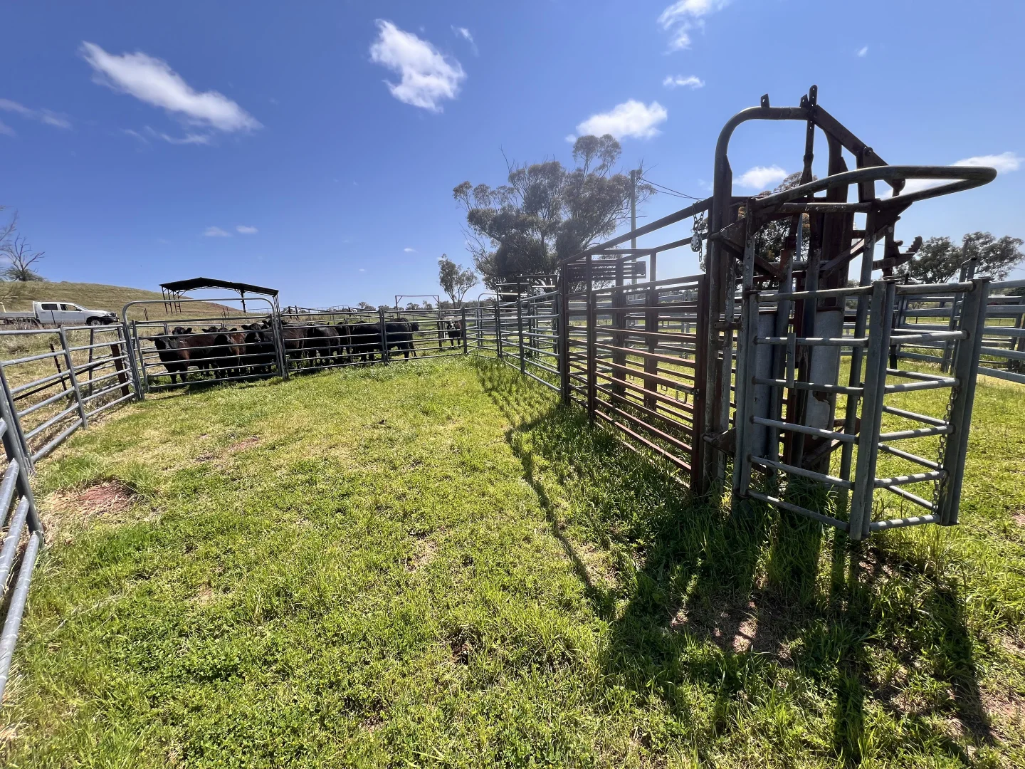 Additional image 16 of Young NSW 2594