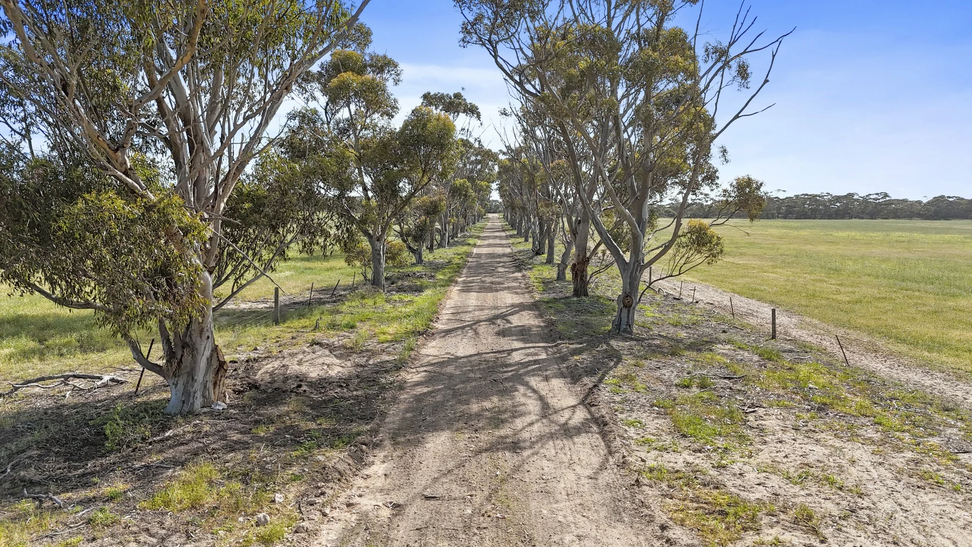 Additional image 8 of 4910 Mallee Highway, Peake SA 5301