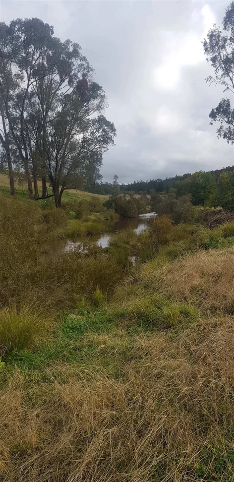 Additional image 10 of 655 Monaghans Rd, Manildra NSW 2865