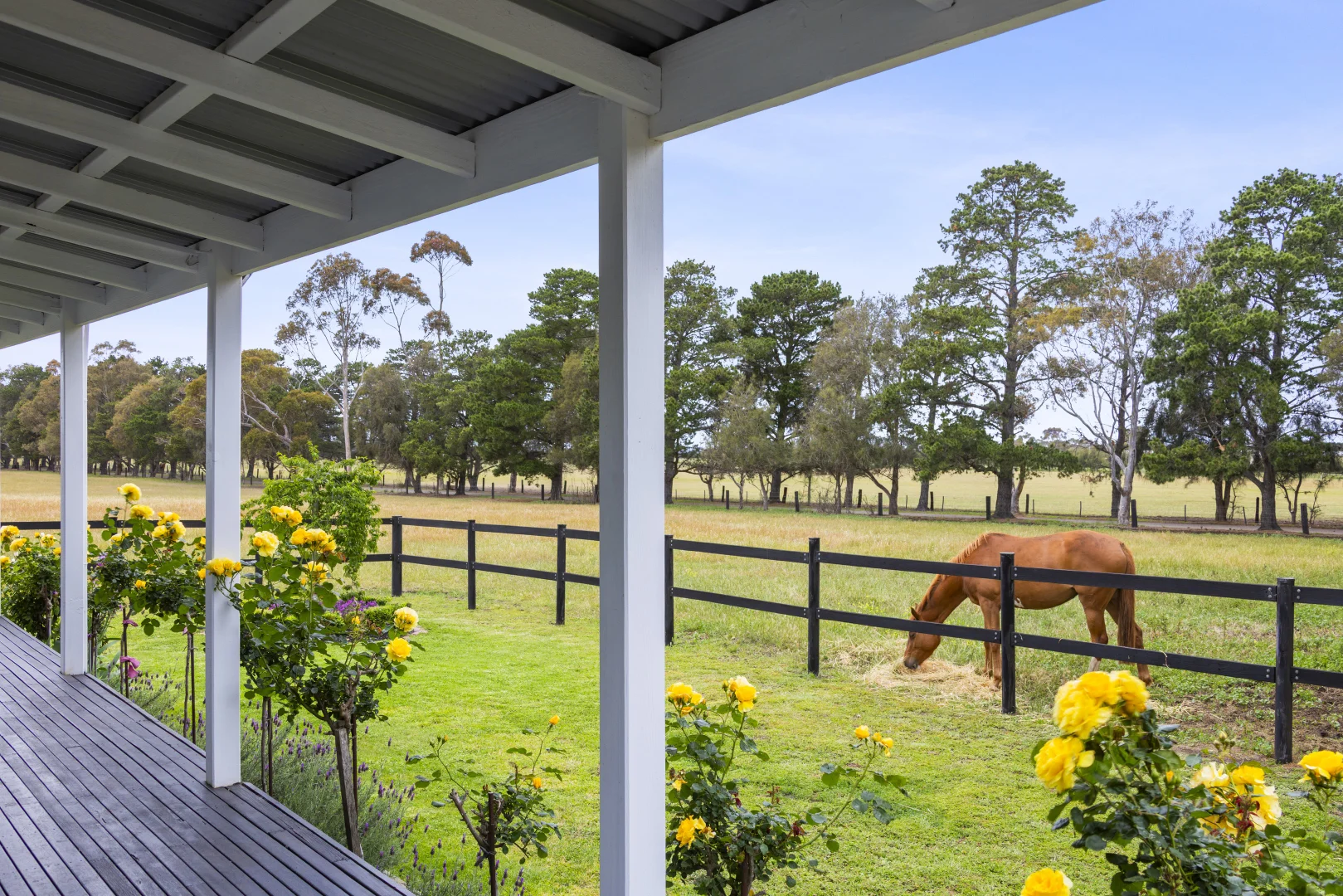 Additional image 38 of 2249 Midland Highway, Bannockburn VIC 3331