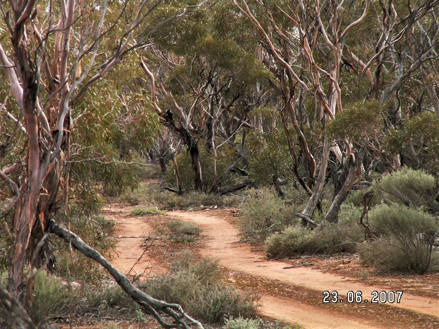 Additional image 5 of 1 Swallows Nest Road, Cowell SA 5602