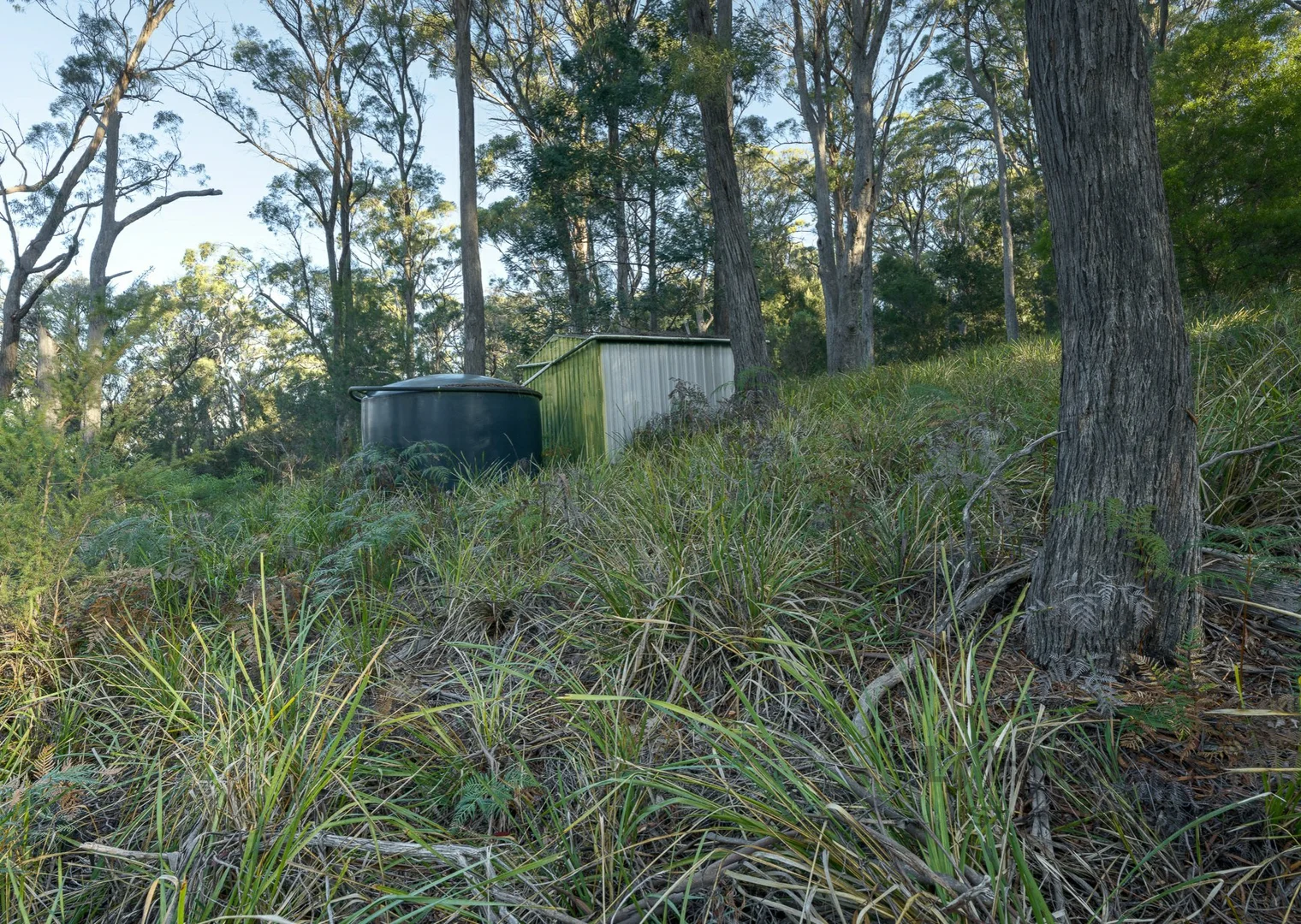 Additional image 13 of 367 Binalong Bay Road, St Helens TAS 7216