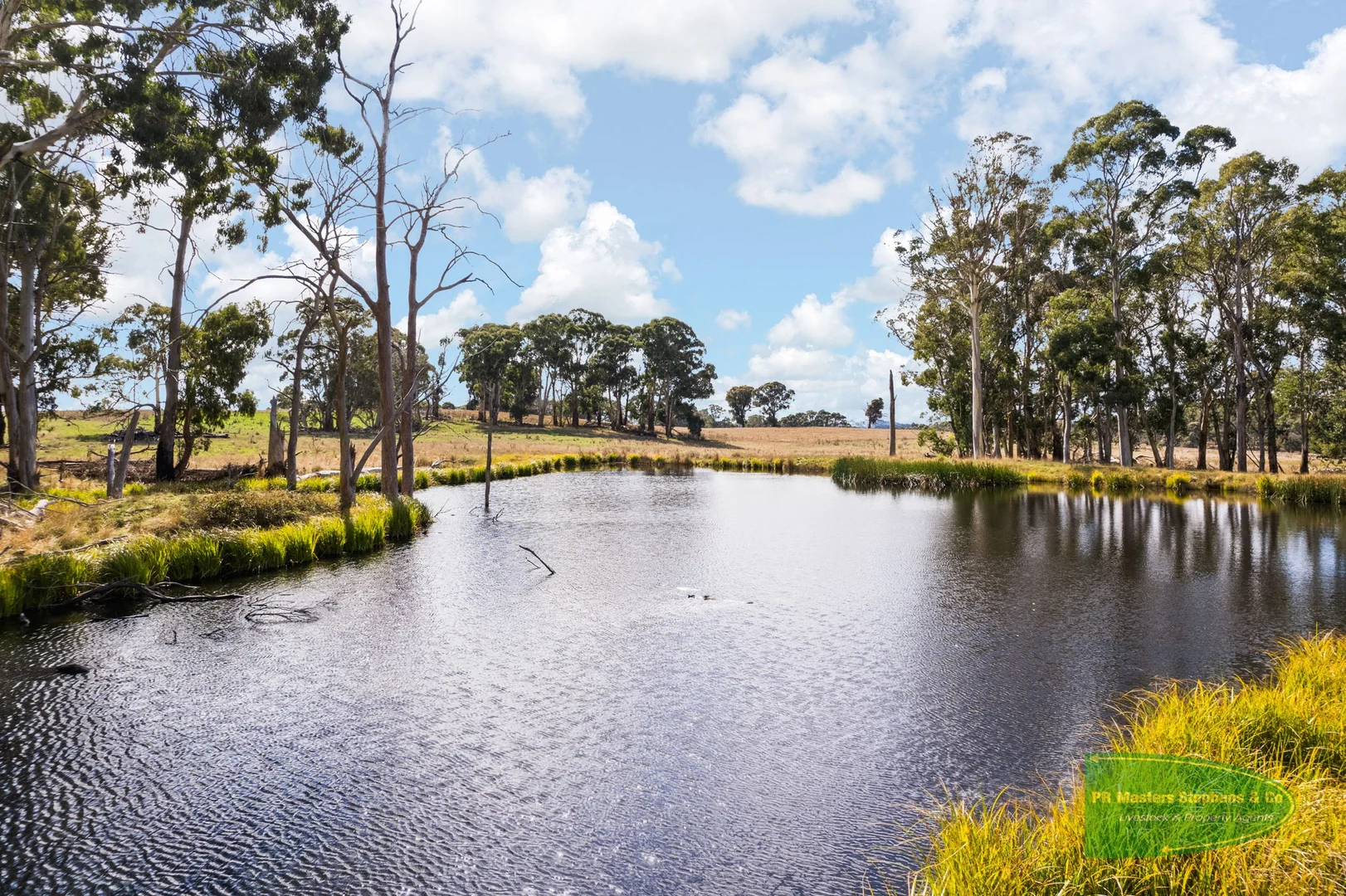 Additional image 29 of 800 Riverview Forest Road, Mozart NSW 2787