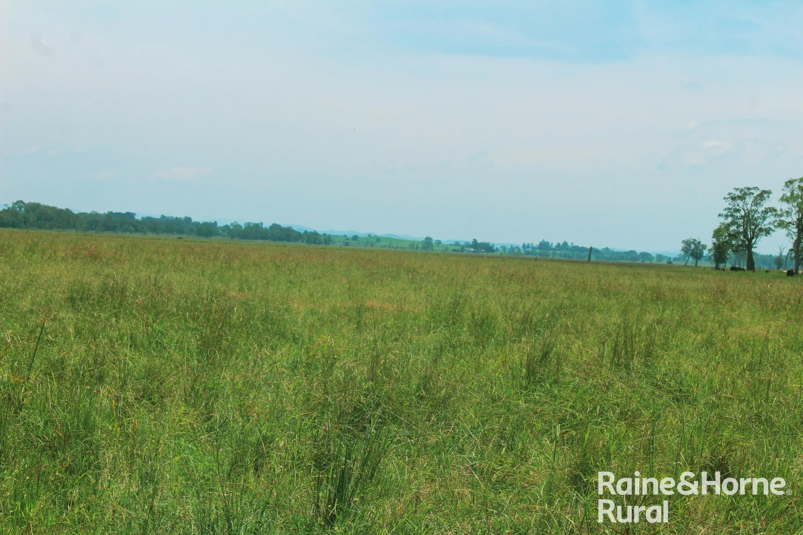 Additional image 18 of Lot 11 Summerland Way, Casino NSW 2470