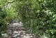 Additional image 18 of Waungilwen, Drefach-Velindre SA44