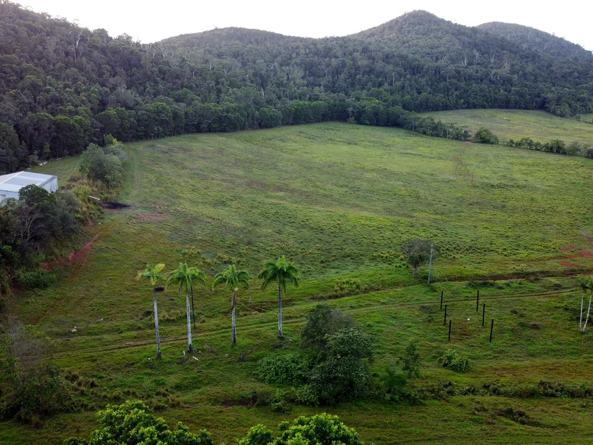 Additional image 5 of 000 Poppi Road, Cowley QLD 4871