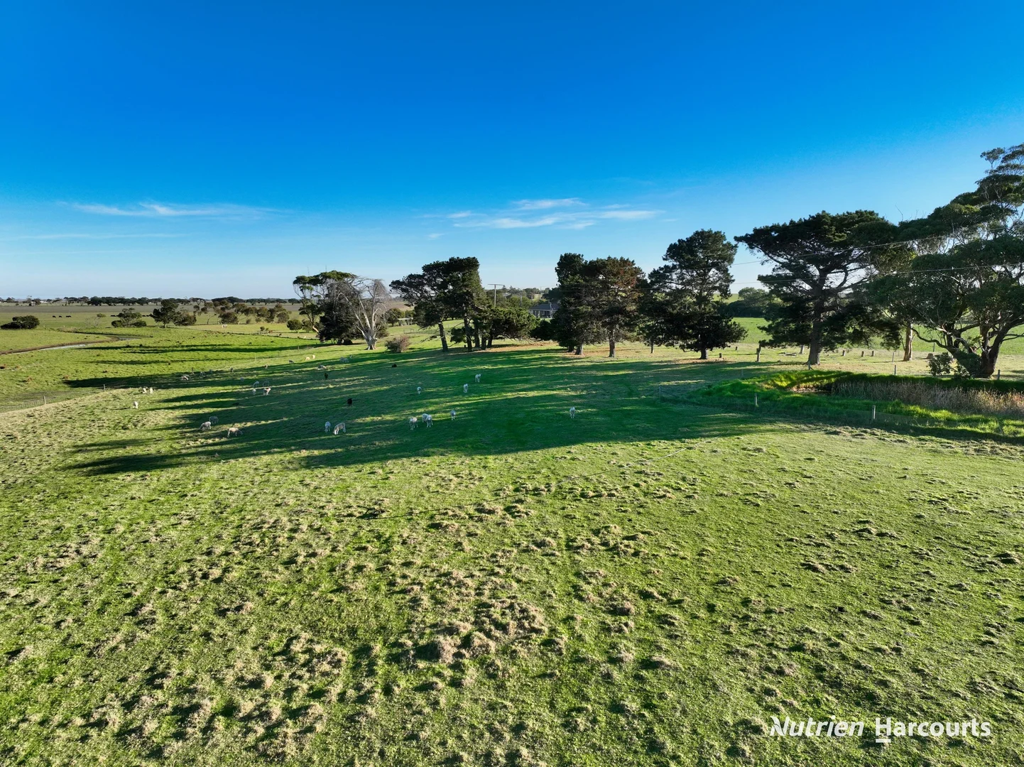Additional image 36 of 194 Tip Road, Seaspray VIC 3851