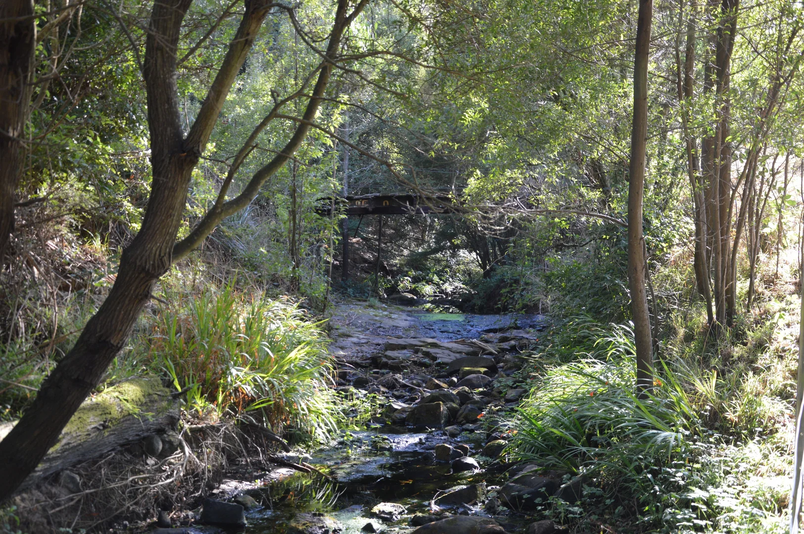 Additional image 10 of 86 Shields Road, Fish Creek VIC 3959