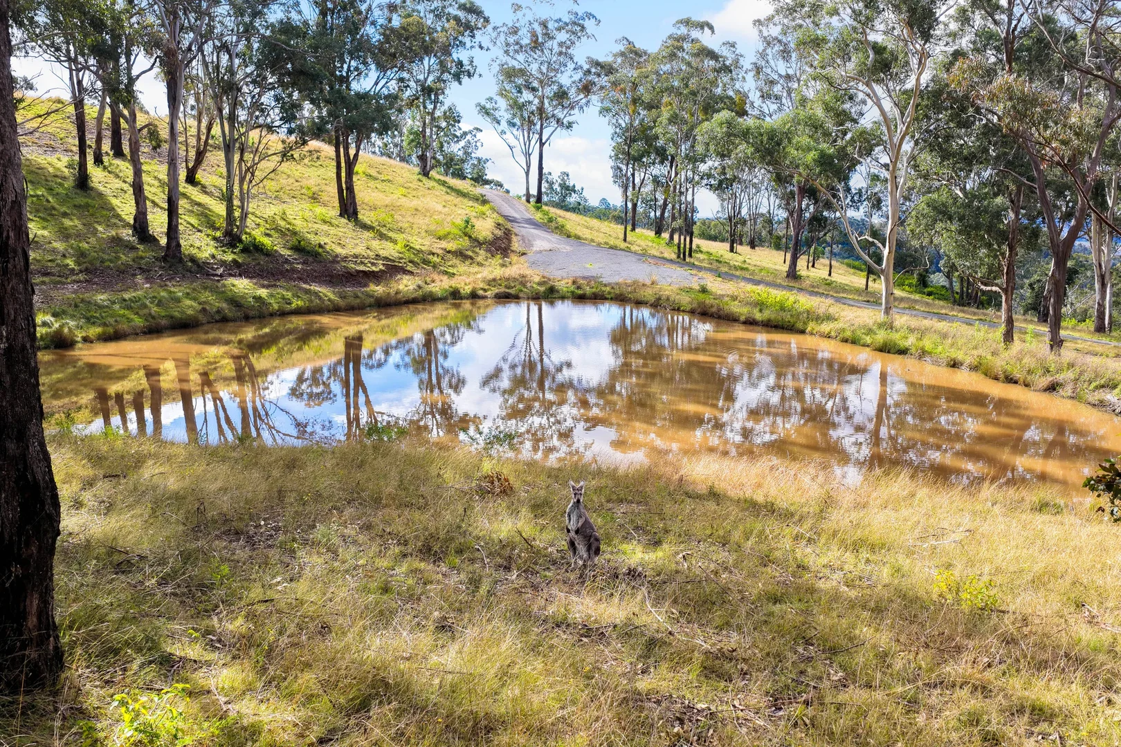 Additional image 26 of 159 Donalds Range Road, Razorback NSW 2571