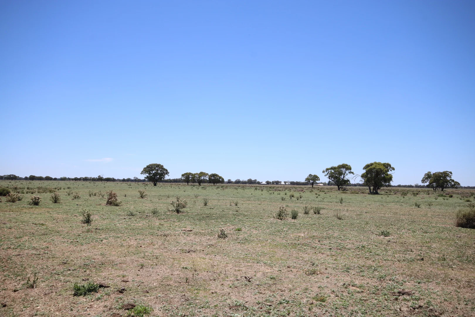 Additional image 23 of 614 Nullabooma Road, Wakool NSW 2710