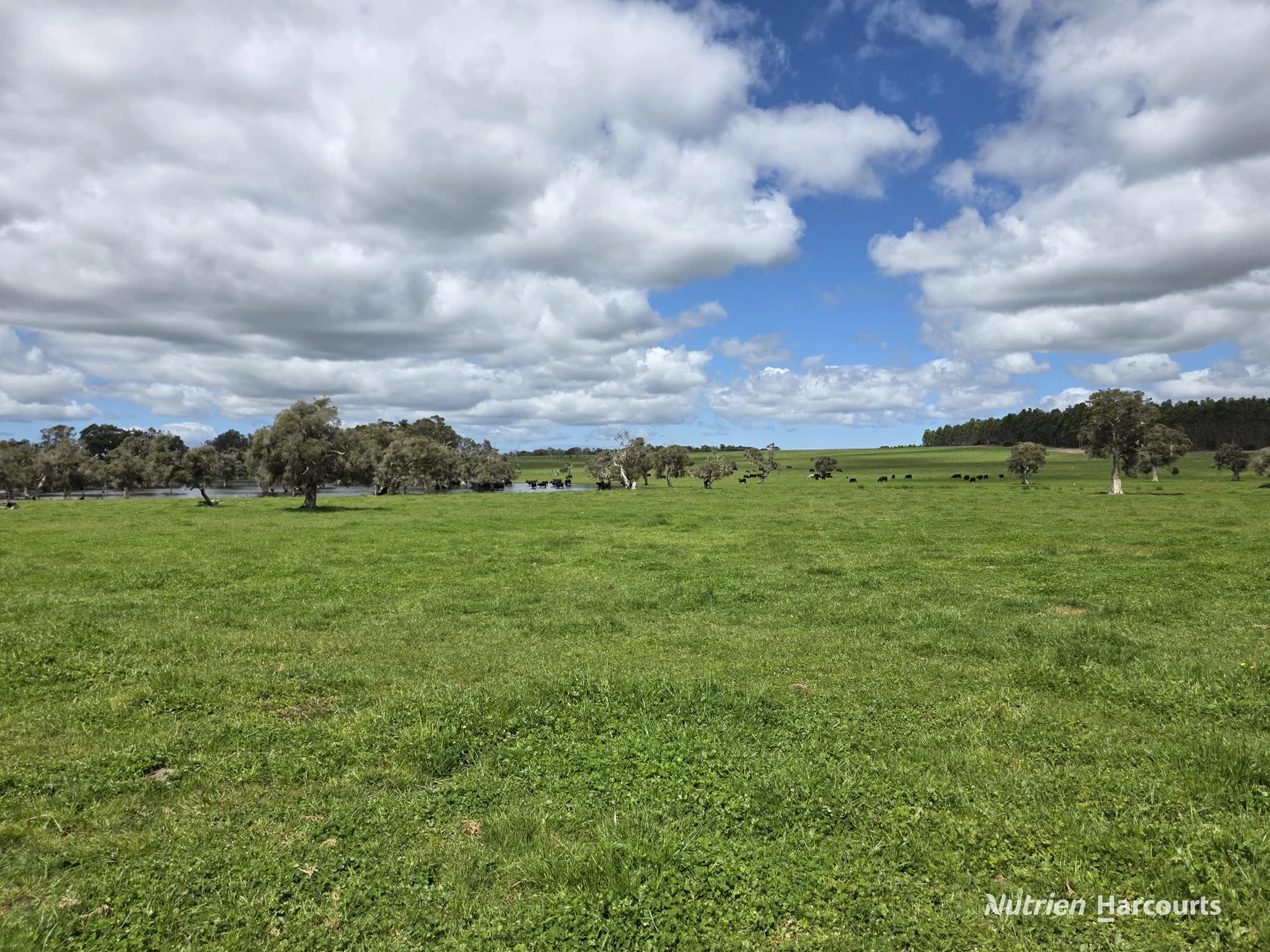 Additional image 25 of 1867 Chester Pass Road, Napier WA 6330