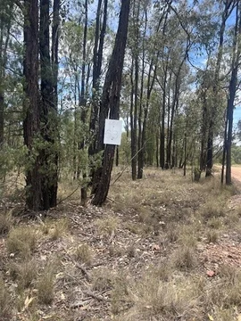 Additional image 5 of Lot 63 Ridge Road, Tara QLD 4421