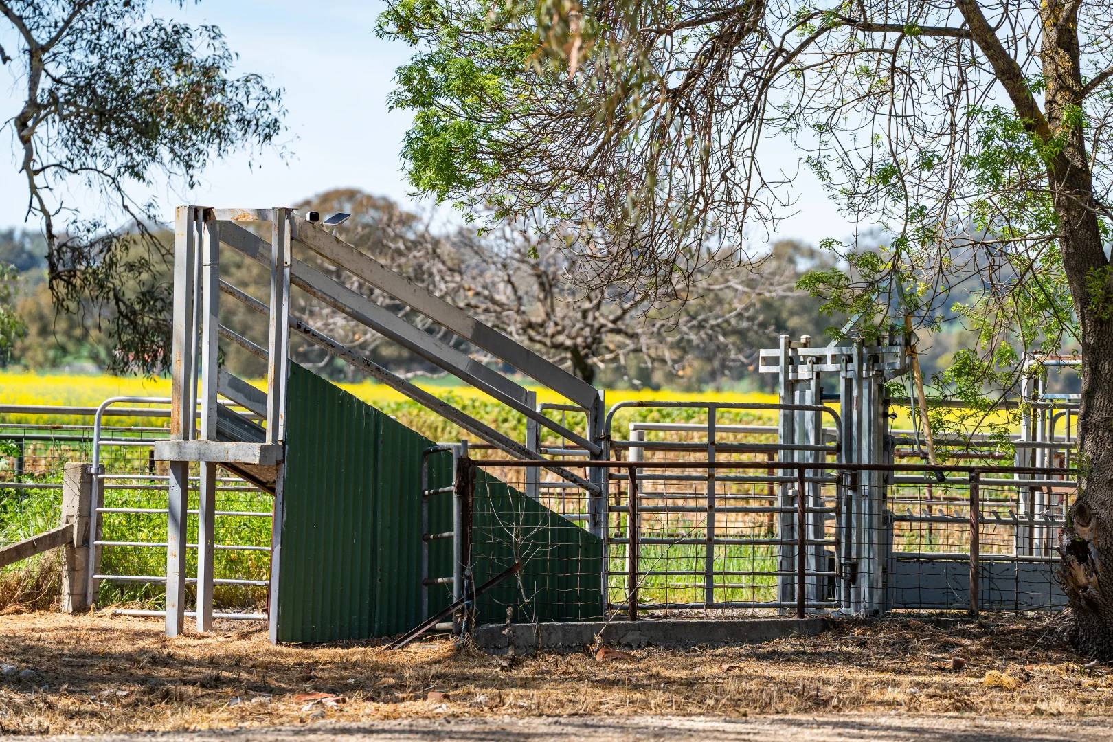 Additional image 23 of 106 Cornishtown Road, Rutherglen VIC 3685